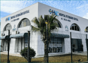 hospital-veterinario-curitiba-central (1)