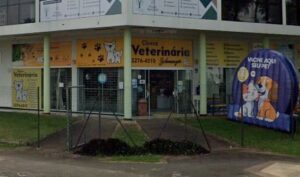 clinica-veterinaria-curitiba-schnauzer (1)