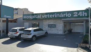 Hospital-Veterinário-Lano-Vet
